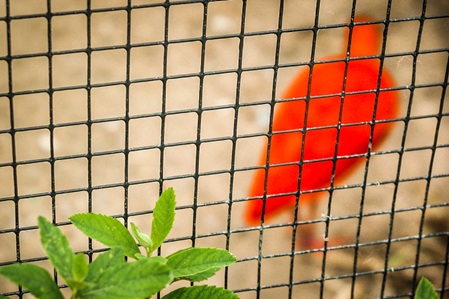 Fotoserie: Lebensräume - Zoo